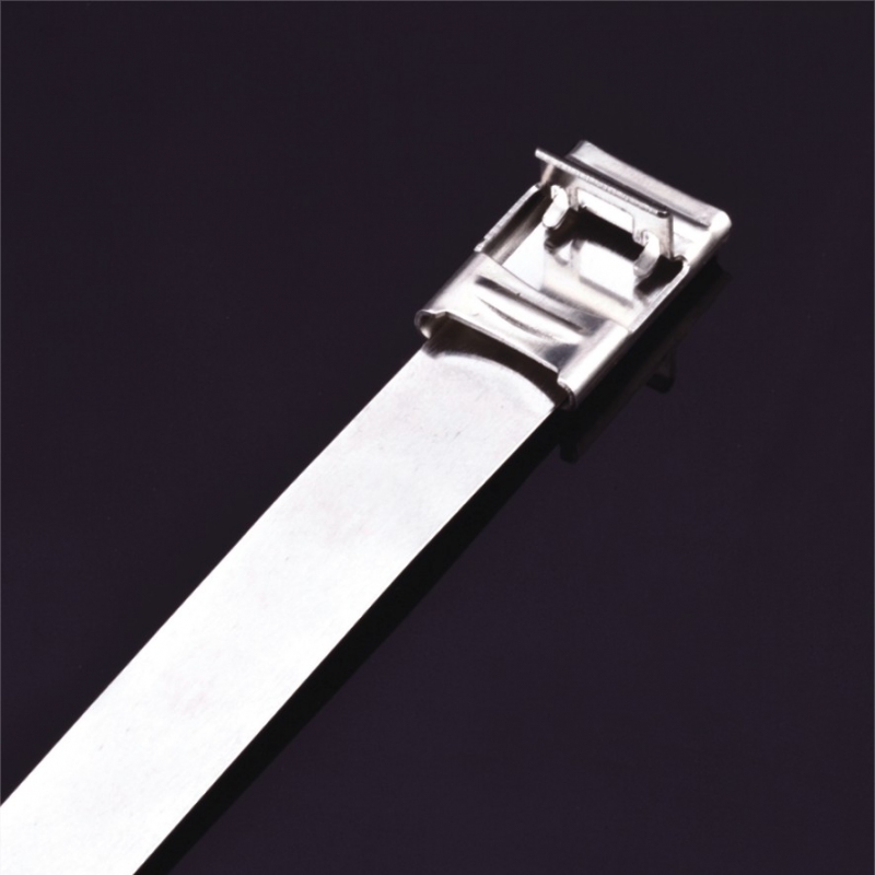 Stainless Steel Cable Ties- F Type Uncoated Ties